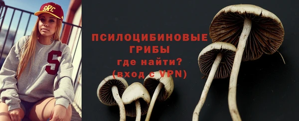 гашиш Богданович