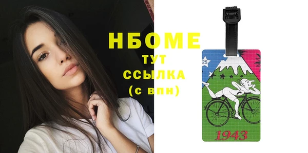 гашиш Богданович