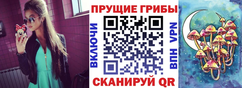Галлюциногенные грибы GOLDEN TEACHER  сколько стоит  Кодинск 